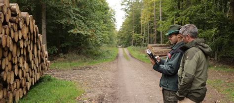 logstackpro|LogStackPro – digital measurements of raw wood. Book demo now.